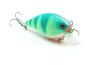 Preview: Angry Perch